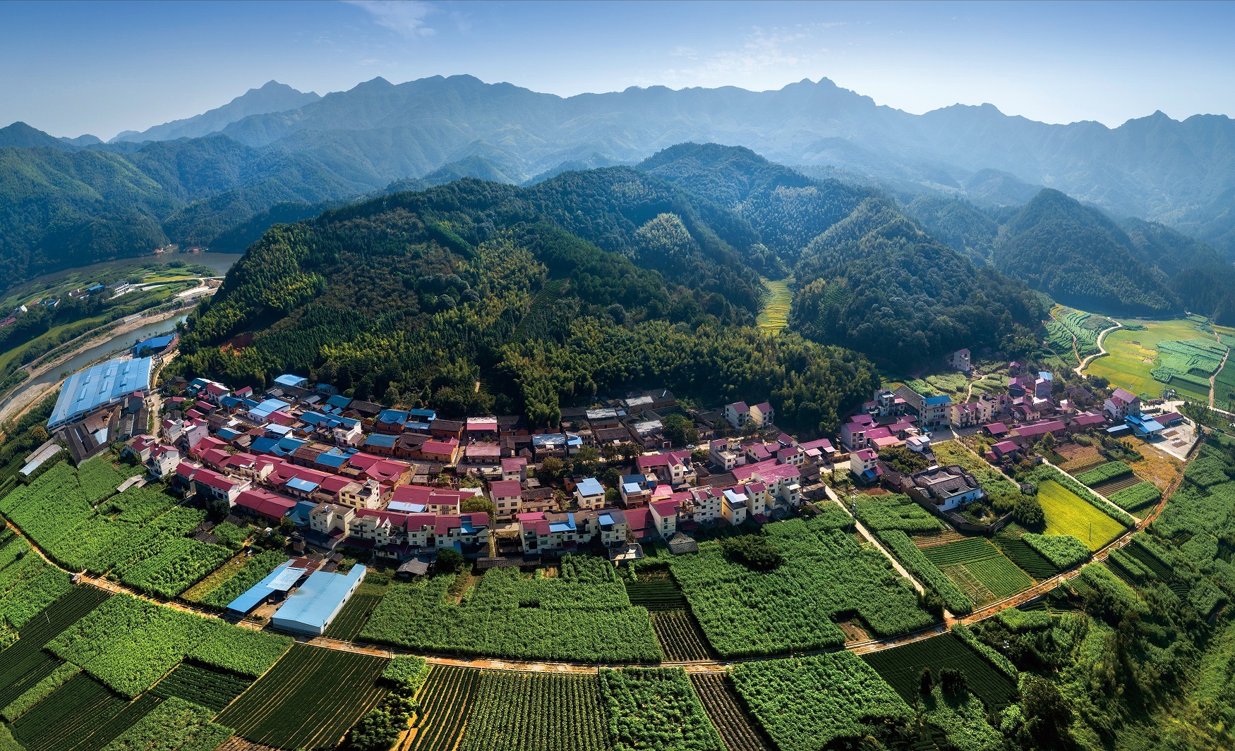 你不知道的福建松溪百年蔗的传奇与新生