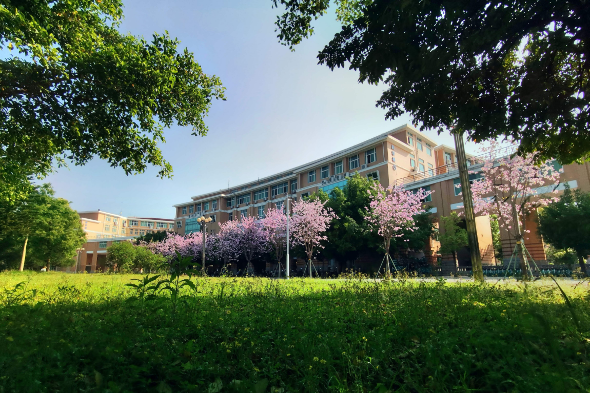 学习强国多彩校园闽江学院旗山之麓四月天阑珊春色随风来